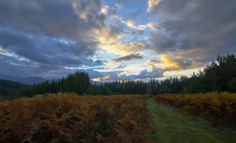 Balkan Mountains Autumn
