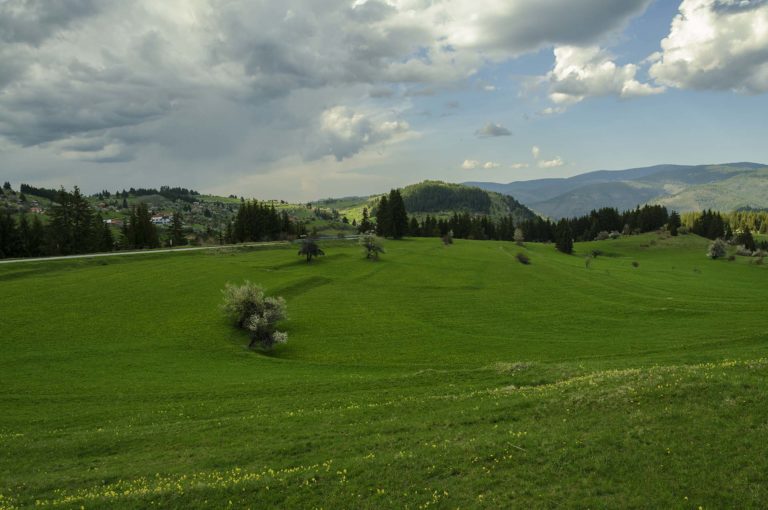 Spring in Rhodope mountains Bulgaria