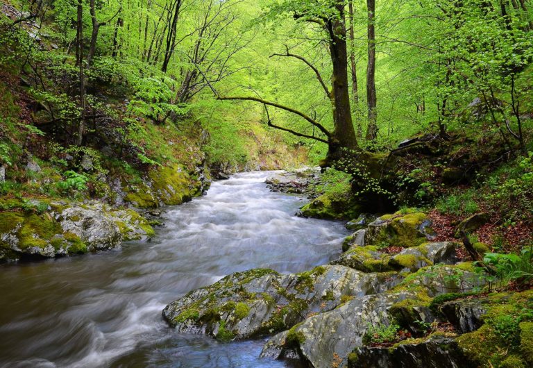 Spring river in Balkan Mountains Bulgaria