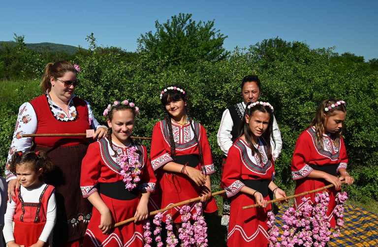 Rose picking festival Bulgaria