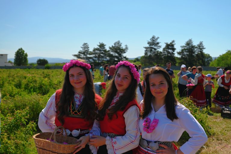 Beautiful girls during rose picking rituals in Bulgaria