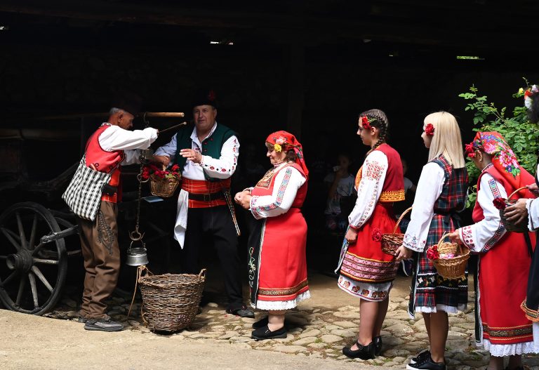 Rose production measuring at Rose Festival Bulgaria