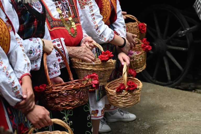 Rose harvest during Rose festival in Bulgaria
