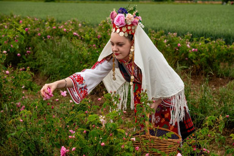 Girls picking rose at Rose Festival Bulgaria